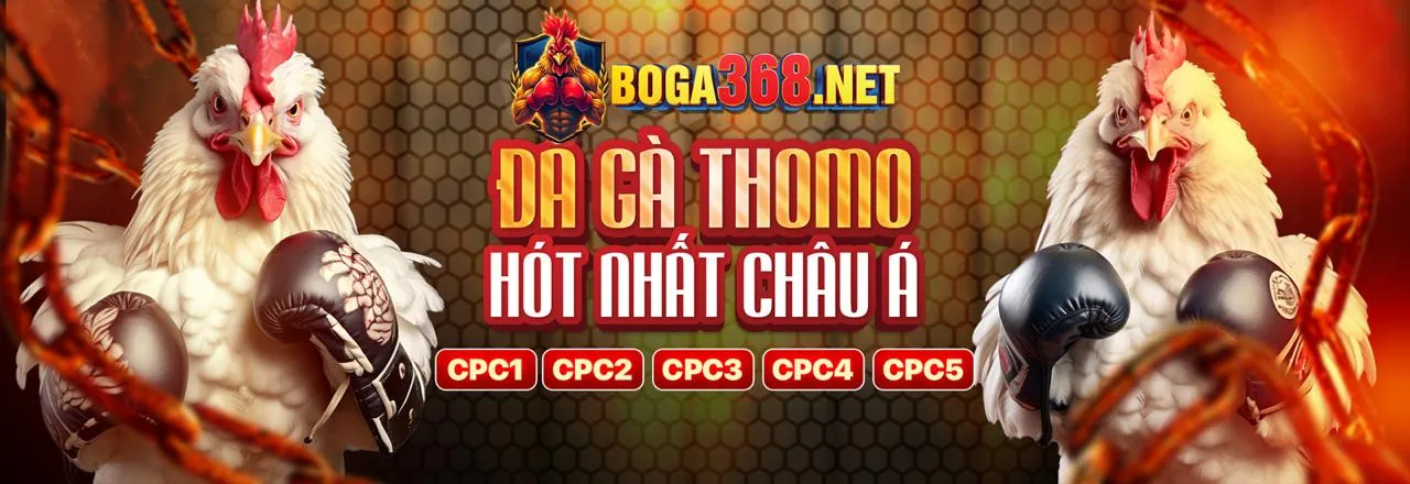 Đá gà trực tuyến hấp dẫn tại OKVIP Code